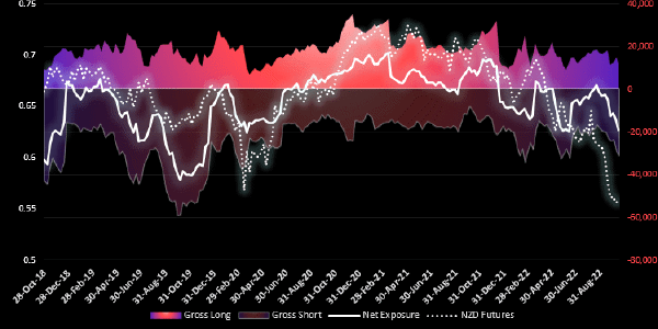 Graphical display of NZD chart CoT