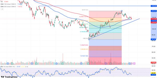 Graphical display of Nike chart