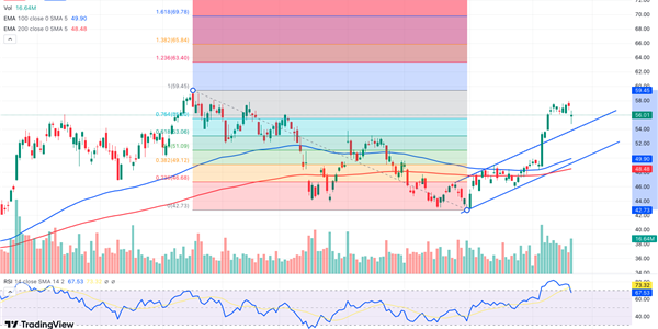 Graphical display of Schlumberger chart