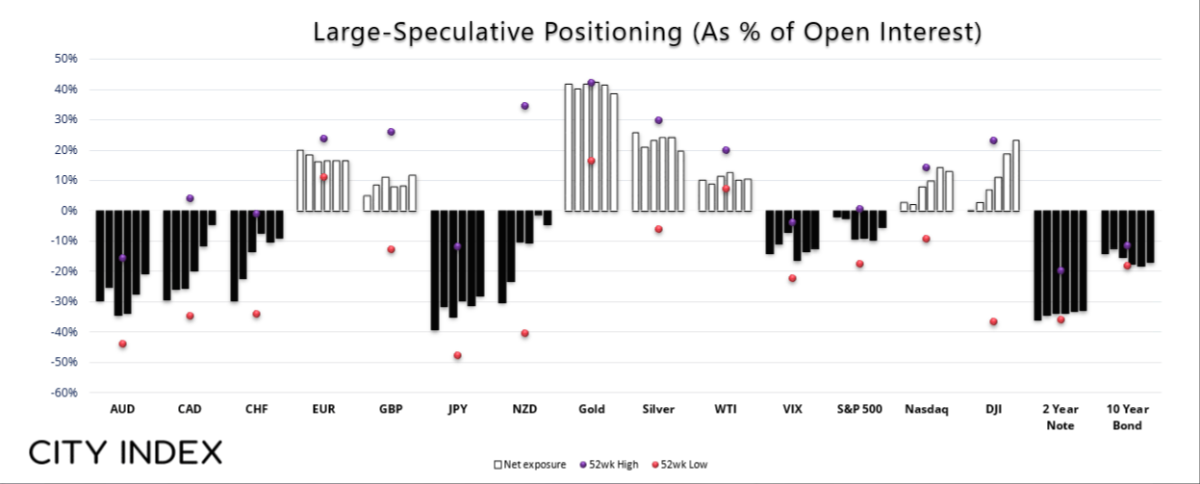 Large Speculative Positioning