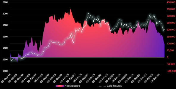 Graphische Darstellung Gold Future